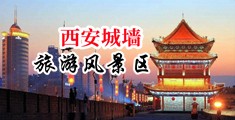 使劲草逼高清中国陕西-西安城墙旅游风景区